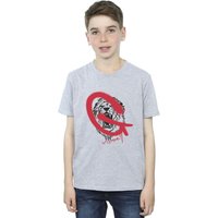 Harry Potter Boy's Gryffindor Pop Spray T-Shirt in Grey | Size: 3-4 Years