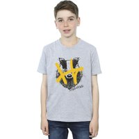 Harry Potter Boy's Hufflepuff Pop Spray T-Shirt in Grey | Size: 3-4 Years