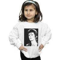 Ziggy Looking Sweatshirt