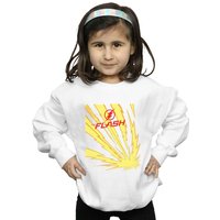 Flash Lightning Bolts Sweatshirt