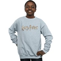 Harry Potter Boy's Full Colour Logo Sweatshirt in Grey | Size: 9 Years