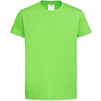 Stedman Classics Men's Stedman Classic Tee in Pale Green | Size: XS
