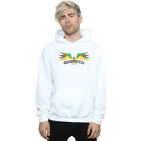 Snitch Wings Pastels Hoodie