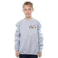 Disney Boy's Chip N Dale Backside Breast Print Sweatshirt in Grey | Size: 5-6 Years
