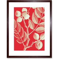 Artery8 Wall Art Print Modern Bold Biodiversity Red Plant Artwork Framed 9X7 Inch in Brown | Size: W7" x H9"