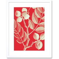 Artery8 Wall Art Print Modern Bold Biodiversity Red Plant Artwork Framed 9X7 Inch in White | Size: W7" x H9"