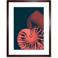 Artery8 Wall Art Print Pink Seashell Nautilus Artwork Framed 9X7 Inch in Brown | Size: W7" x H9"