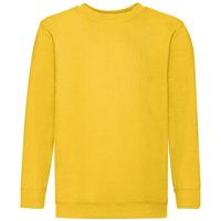 Fruit of the Loom Set In Sleeve Sweatshirt Pack of 2 in Yellow | Size: 7-8 Years