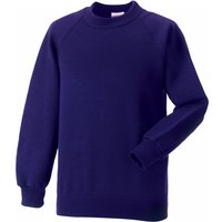 Jerzees Schoolwear Jerzees Schoolgear Raglan Sleeve Sweatshirt Pack of 2 in Purple | Size: 7-8 Years
