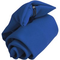 Premier Men's Tie - Plain Workwear Clip On Tie Pack of 2 in Royal
