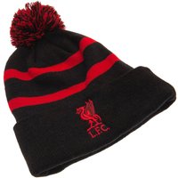 Ski Hat