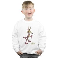 Looney Tunes Boy's Wile E Coyote Distressed Sweatshirt in White | Size: 7-8 Years