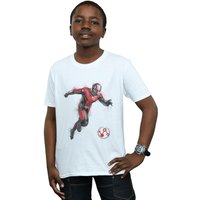 Avengers Endgame Painted Ant Man T Shirt