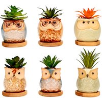 simpa 6PC Assorted Shaped Owl Ceramic Plant Pots with Bamboo Base