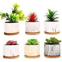 simpa 6PC Mixed Colour Pattern Ceramic Plant Pots with Bamboo Base