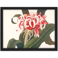 Artery8 Wall Art Print Bury Havell Giant Spider Lily Queen Emma Flower Large Framed Wall Décor Art in Light Oak | Size: W18" x H24"