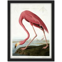 Artery8 Wall Art Print Audubon American Flamingo Large Framed Wall Décor Art in Black | Size: W18" x H24"