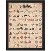 Artery8 Wall Art Print Kato Chikusai Species of Sea Life Shellfish Japan Large Framed Wall Dรฉcor Art in Light Oak | Size: W18" x H24"