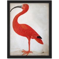 Artery8 Wall Art Print Merian Scarlet Ibis Bird With Egg Skin Painting Large Framed Wall Décor Art in Black | Size: W18" x H24"