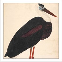 Artery8 Wall Art Print Black Stork In A Landscape Indian Watercolour Bird Painting Square Framed Picture 16X16 Inch in White | Size: W16" x H16"