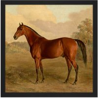 Artery8 Wall Art Print Troye Kentucky Woodpecker 1834 Brown Horse Painting Square Framed Picture 16X16 Inch in Black | Size: W16" x H16"