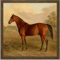 Artery8 Wall Art Print Troye Kentucky Woodpecker 1834 Brown Horse Painting Square Framed Picture 16X16 Inch | Size: W16" x H16"