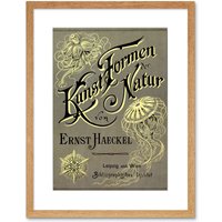 Artery8 Wall Art Print Ernst Haeckel Kunst Formen Der Natur Cover Page Artwork Framed 9X7 Inch in Beige | Size: W7" x H9"