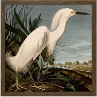 Artery8 Wall Art Print Audubon Birds Snowy Heron Painting Square Framed Picture 16X16 Inch in Brown | Size: W16" x H16"