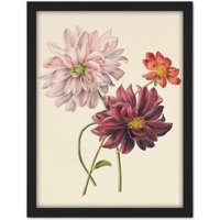 Artery8 Wall Art Print Willem Hekking Dahlias Flowers Pink & Purple Large Framed Wall Dรฉcor Art in Brown | Size: W18" x H24"