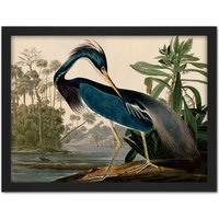 Artery8 Wall Art Print Audubon Birds Louisiana Heron Painting Large Framed Wall Décor Art in Brown | Size: W18" x H24"