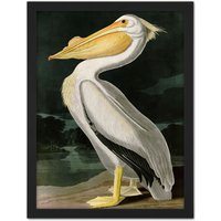 Artery8 Wall Art Print Audubon Birds White Pelican Painting Large Framed Wall Décor Art in Black | Size: W18" x H24"
