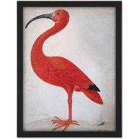 Artery8 Wall Art Print Merian Scarlet Ibis With Egg Nature Bird Painting Large Framed Wall Décor Art in Light Oak | Size: W18" x H24"