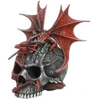 KDMD Serpent Infection Lidded Skull Ornament in Grey