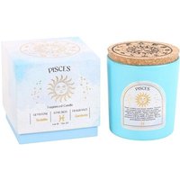 Pisces Gardenia Gemstone Zodiac Candle
