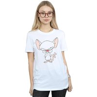 Animaniacs Women's The Brain Classic Pose Cotton Boyfriend T-Shirt in White | Size: 4XL