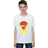 Flash My Hero Since Forever T Shirt