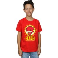 DC Comics Boy's Flash My Hero Since Forever T-Shirt in Red | Size: 5-6 Years