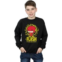 Boy's Flash My Hero Since Forever Sweatshirt in | Size: 7-8 Years