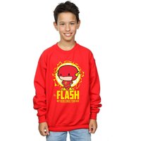 Flash My Hero Since Forever Sweatshirt