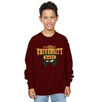 Northern University Mars Sweatshirt Years