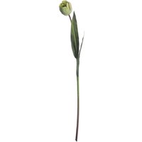 Hill Interiors Artificial Green Tulip Plant