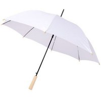Alina 23 Inch Auto Open PET Umbrella