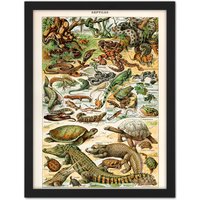 Artery8 Wall Art Print Millot Encyclopedia Page Reptiles Snake Tortoise Large Framed Wall Décor Art in White | Size: W18" x H24"
