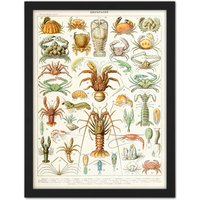 Artery8 Wall Art Print Millot Encyclopedia Page Crustaceans Lobster Large Framed Wall Dรฉcor Art in Light Oak | Size: W18" x H24"