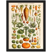 Artery8 Wall Art Print Millot Encyclopedia Page Vegetables Legumes Large Framed Wall Dรฉcor Art in Black | Size: W18" x H24"