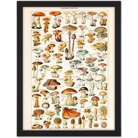Artery8 Wall Art Print Millot Encyclopedia Page Mushrooms Fungus Large Framed Wall Décor Art in White | Size: W18" x H24"