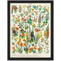 Artery8 Wall Art Print Millot Encyclopedia Page Flowers Plants Large Framed Wall Décor Art in Brown | Size: W18" x H24"