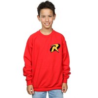 Batman Robin Logo Sweatshirt