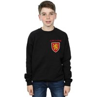 Harry Potter Boy's Gryffindor Lion Faux Pocket Sweatshirt in Black | Size: 9 Years