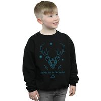 Harry Potter Boy's Expecto Patronum Sweatshirt in Black | Size: 12-13 Years